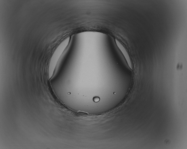 X0000110730029200906261529