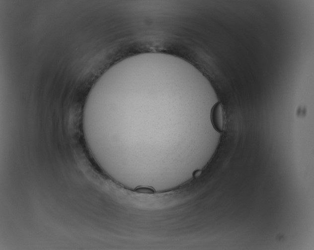 X0000110730030200906261529