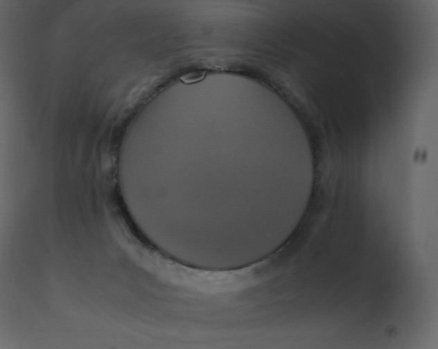 X0000110730031200906261529