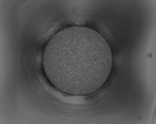 X0000110730032200906261529