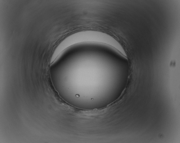 X0000110730033200906261529