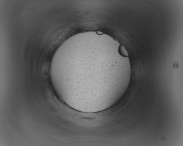 X0000110730034200906261529