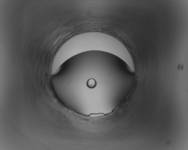 X0000110730035200906261529