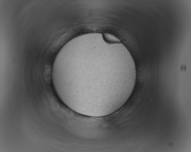 X0000110730036200906261529