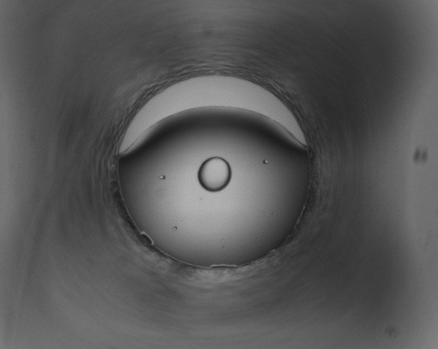 X0000110730037200906261529