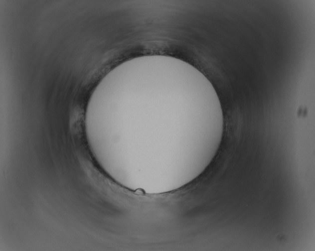 X0000110730038200906261529