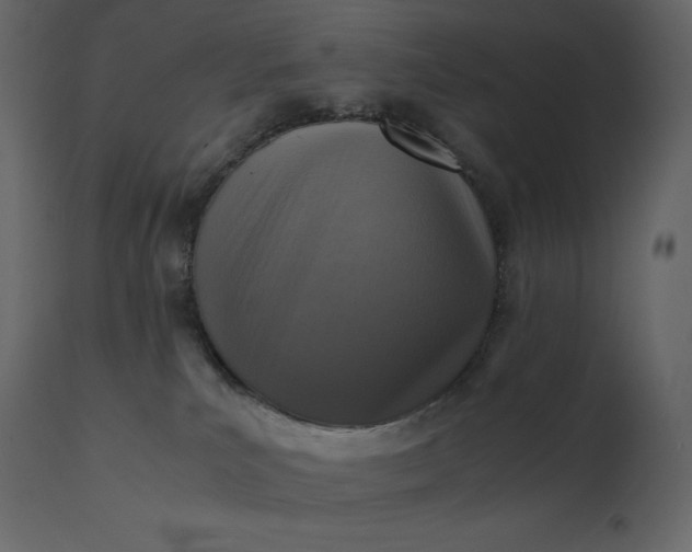 X0000110730039200906261529