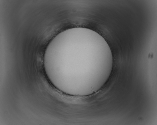 X0000110730040200906261529