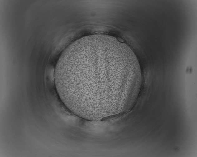 X0000110730041200906261529