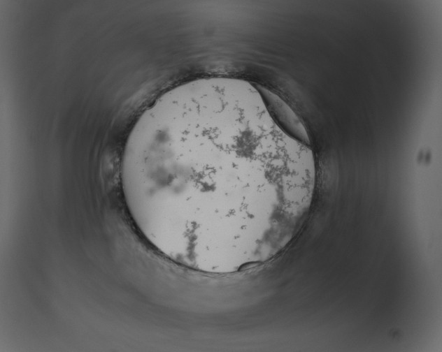 X0000110730043200906261529