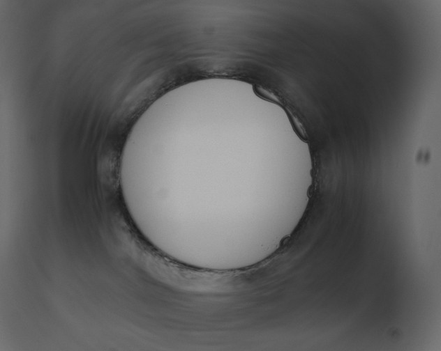 X0000110730044200906261529