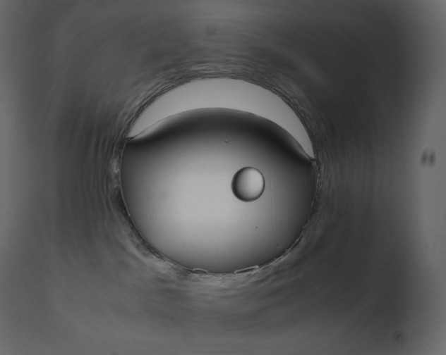 X0000110730045200906261529