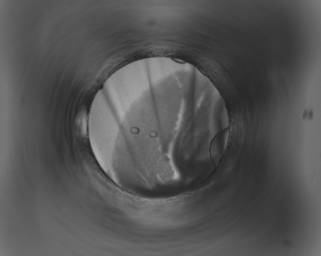 X0000110730046200906261529