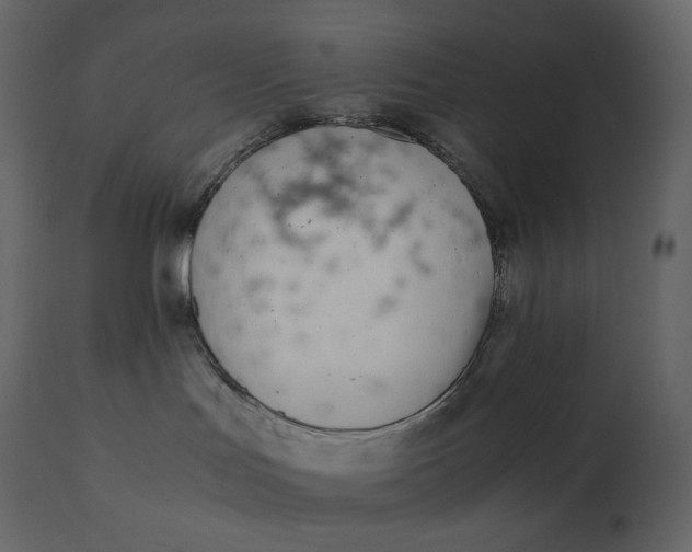 X0000110730047200906261529