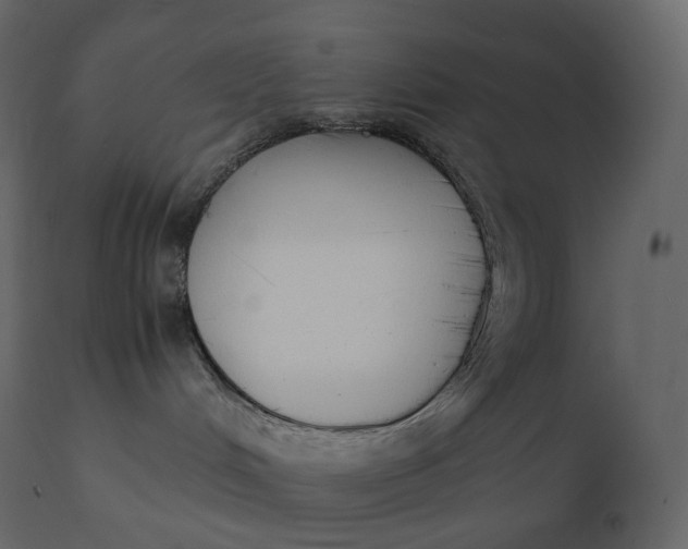 X0000110730048200906261529