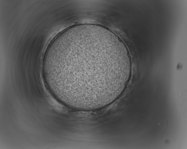 X0000110730049200906261528