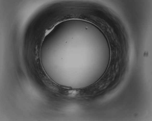 X0000110730050200906261528