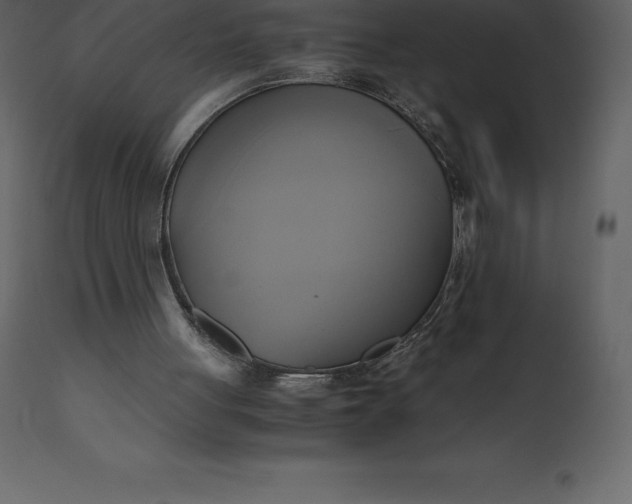 X0000110730051200906261528