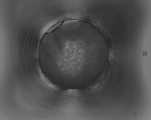 X0000110730052200906261528