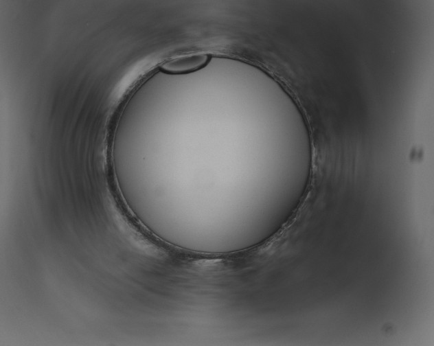 X0000110730054200906261528