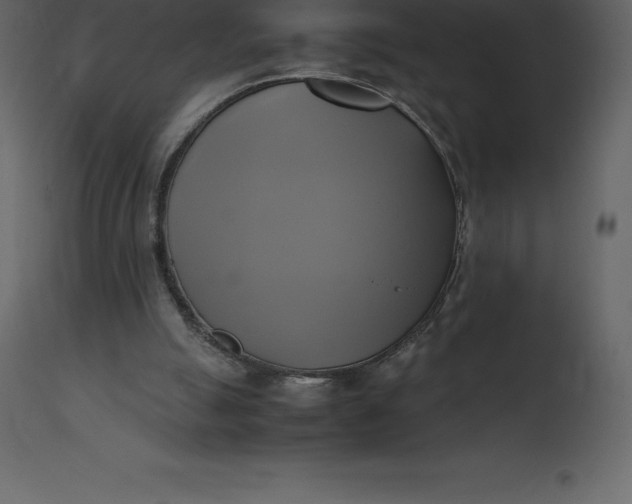 X0000110730055200906261528