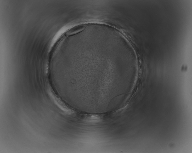 X0000110730056200906261528