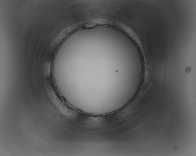 X0000110730057200906261528