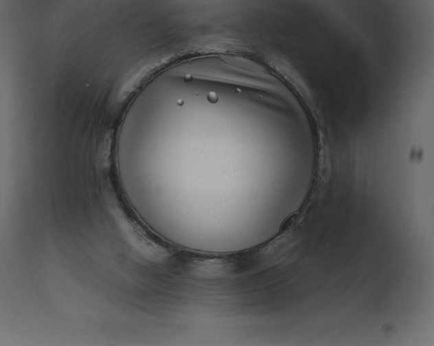 X0000110730058200906261528