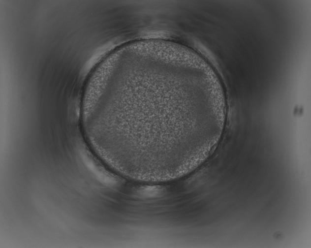 X0000110730059200906261528