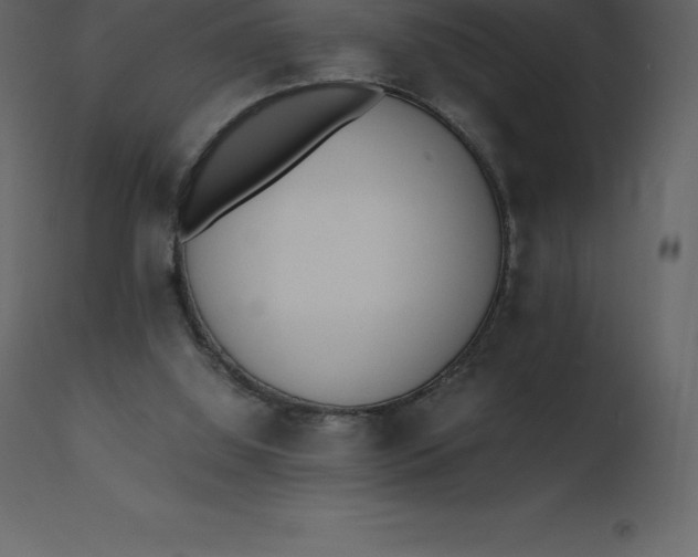 X0000110730060200906261528