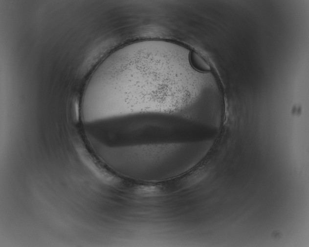 X0000110730061200906261528