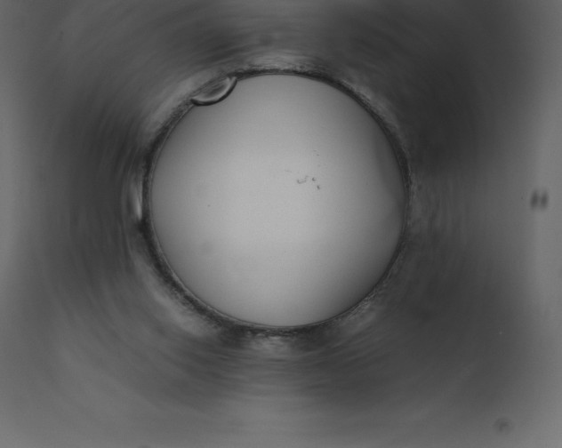 X0000110730062200906261528