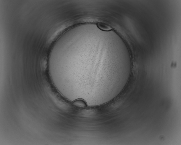 X0000110730063200906261528