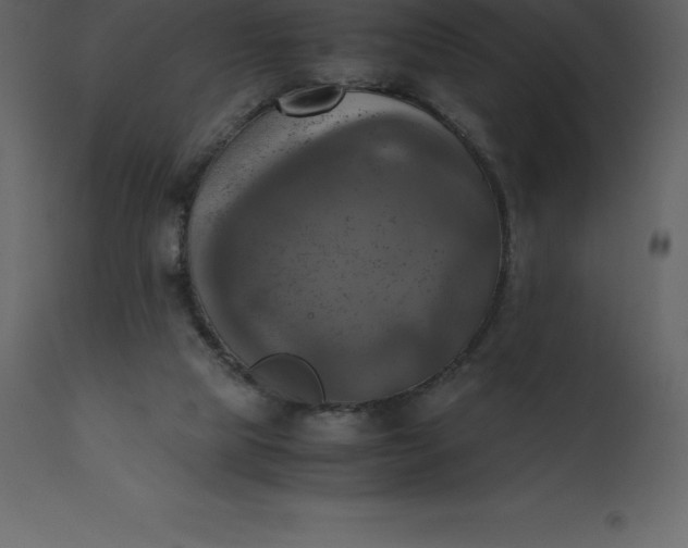 X0000110730065200906261528