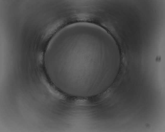 X0000110730066200906261528