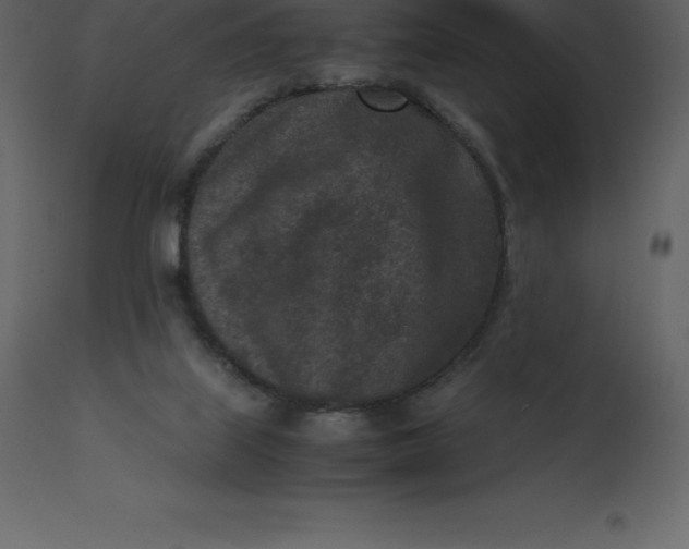 X0000110730067200906261528