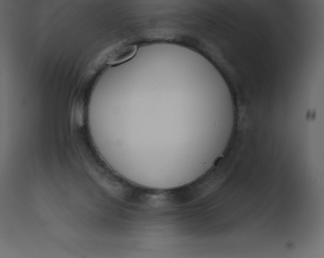 X0000110730068200906261528