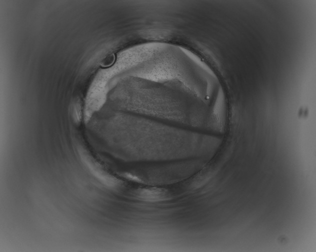 X0000110730069200906261528