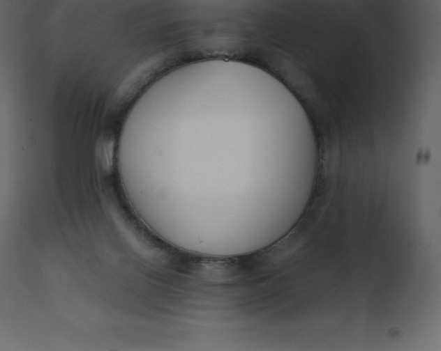 X0000110730070200906261528