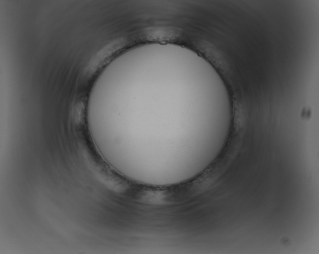 X0000110730071200906261528