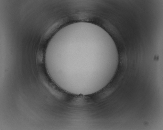 X0000110730072200906261528