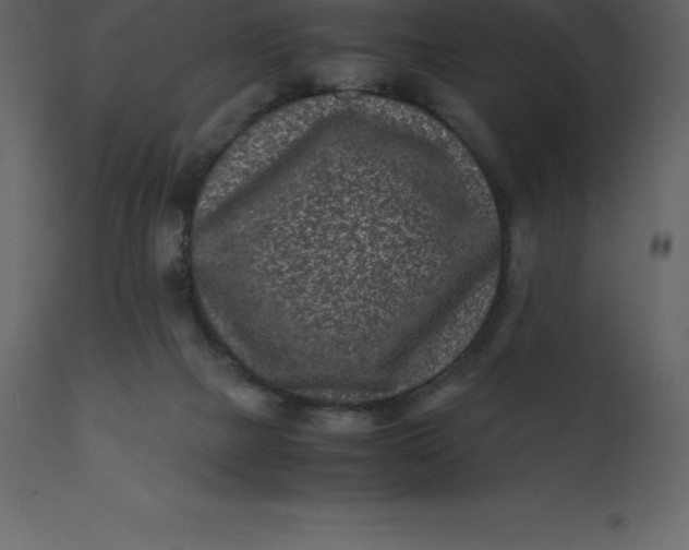 X0000110730073200906261528