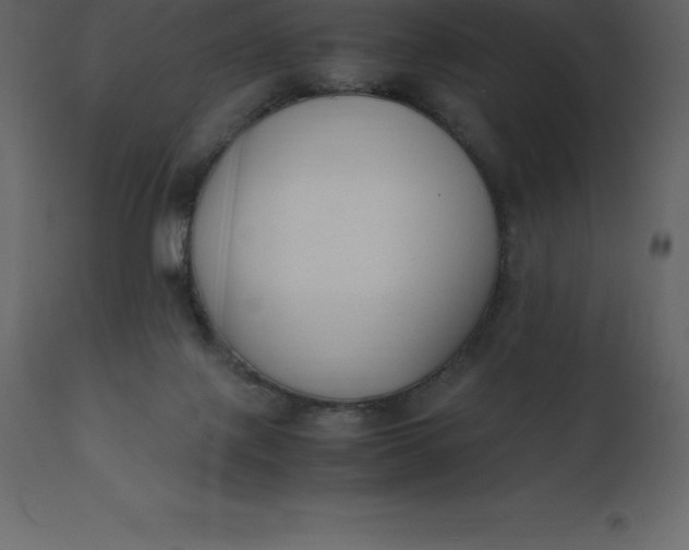 X0000110730075200906261528