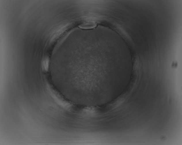 X0000110730076200906261529