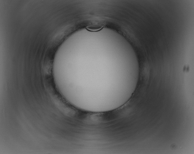 X0000110730078200906261529