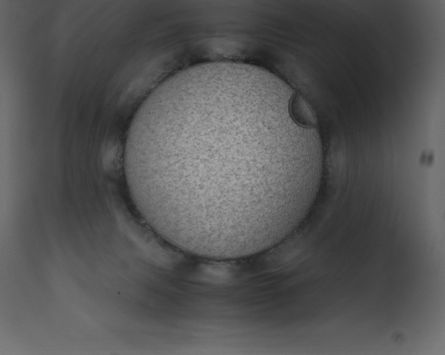 X0000110730079200906261529