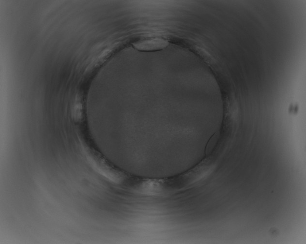 X0000110730080200906261529