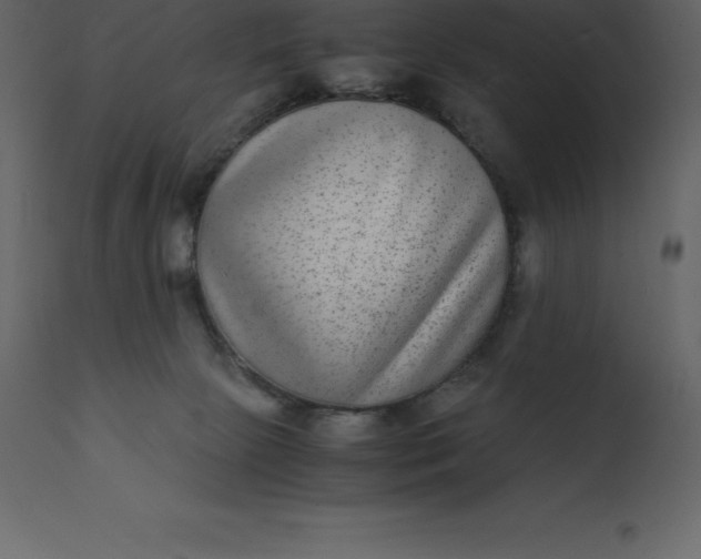 X0000110730081200906261529