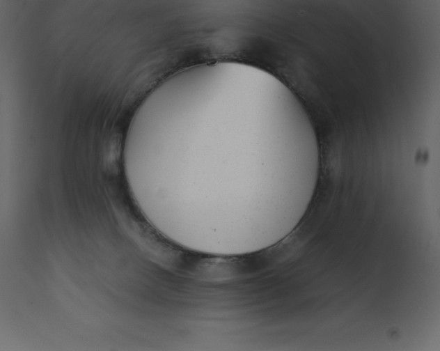 X0000110730082200906261529