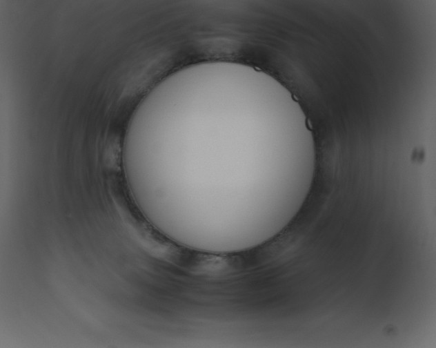 X0000110730083200906261529